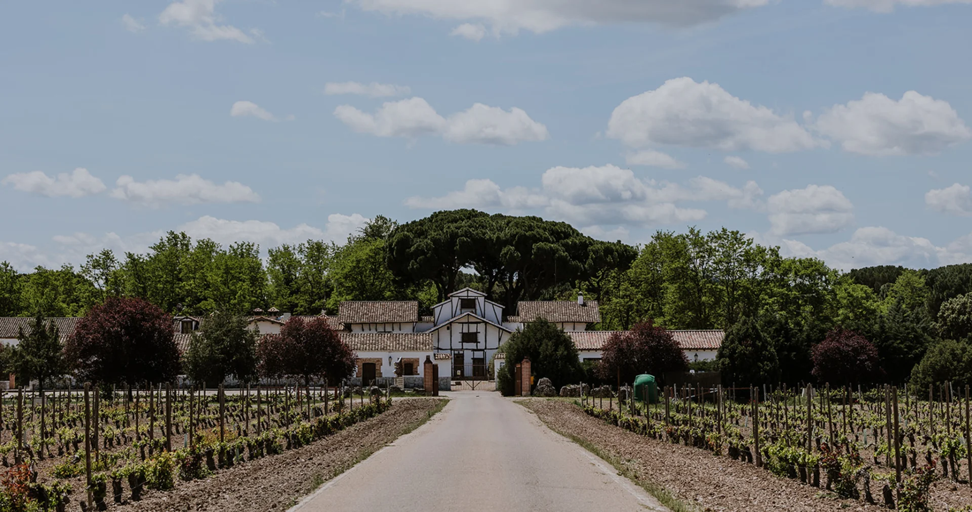 Dehesa de los Canónigos Estate